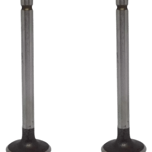 VALVULAS KAWASAKI NEOMAX 100 (JUEGO) CNK