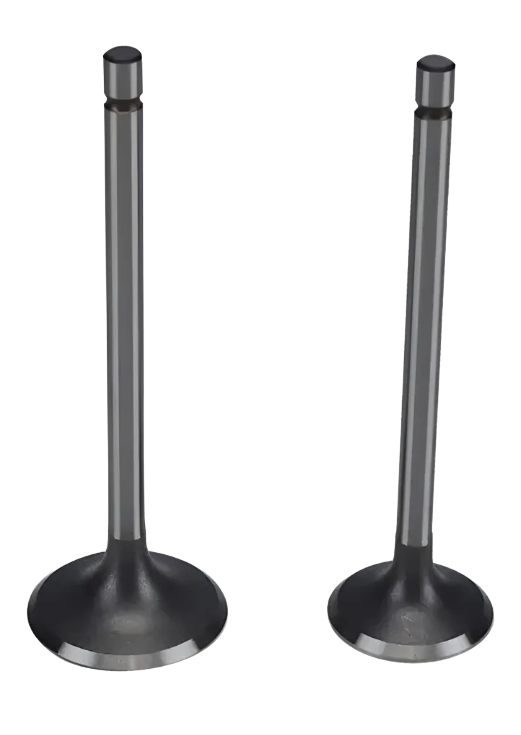 VALVULAS HONDA XR 200 (JUEGO) STM