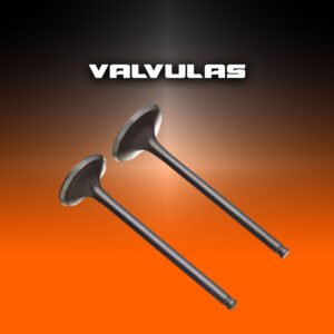 VALVULAS