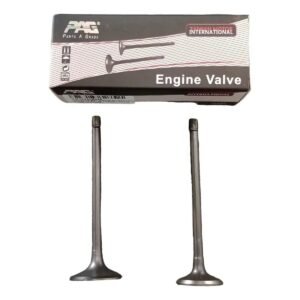 VALVULAS ZANELLA RX 150 (JUEGO) PAG
