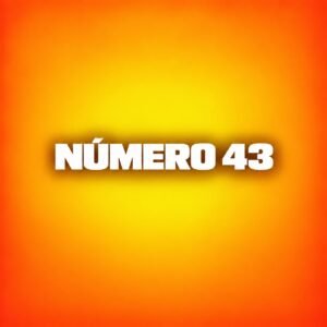 TALLE 43