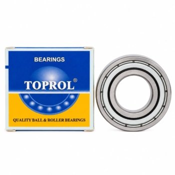 RULEMAN 6004 2RS CH TOPROL